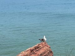 -大连金石滩滨海国家地质公园