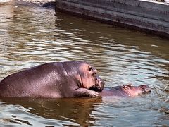 -新疆天山野生动物园