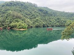 -鼎湖山风景区