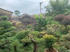 -许家山