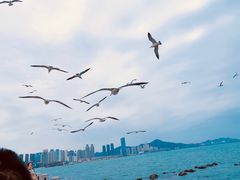 -黑石礁公园