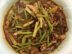 -光辉公鸡馆(事业小区店)