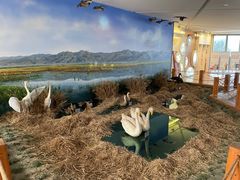 -延庆地质公园博物馆