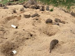 -合肥野生动物园