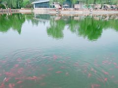 -金城公园