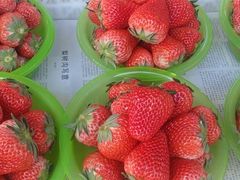 -红花点心局(护国寺店)