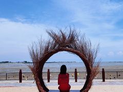 -北海金海湾红树林生态旅游区