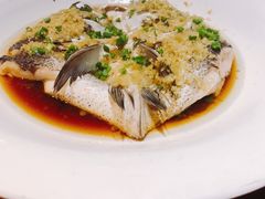 鱼头诱惑-绿茶餐厅(成都万象城店)