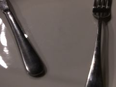 -百好乐宠物友好餐厅(朝外大街店)