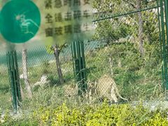 -太原动物园