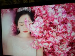 点击看大图 -太郎花子婚纱摄影艺术中心