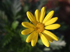 -昆山城市生态森林公园