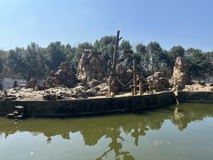 -合肥野生动物园