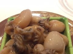 -禾绿回转寿司(苏宁广场店)