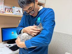 -谐和贝康宠物医院24小时·宠保定点(急重症转诊中心)