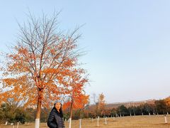 -钟山体育运动公园