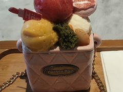 -哈根达斯(石家庄北国店)