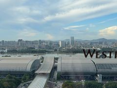 -广交会威斯汀酒店