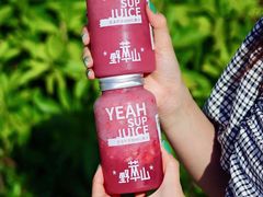 -野萃山·潮汕厚果汁(十亩地店)