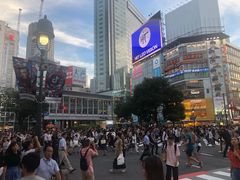 -涩谷区