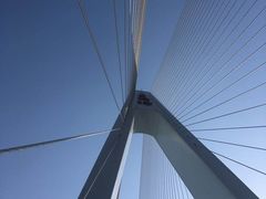 -月湖风景区