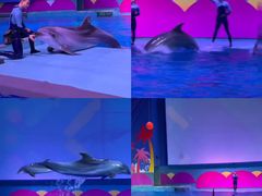 -南昌融创海世界