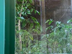 -默迹咖啡馆