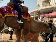 -华夏文旅海洋公园