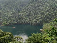 -鼎湖山风景区