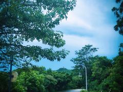-东澳岛