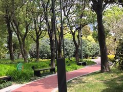 -北外滩滨江绿地