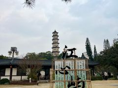 -江心屿景区