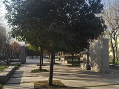 -木塔寺遗址生态公园