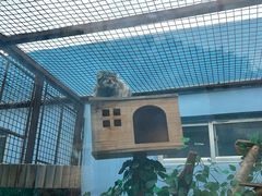 -青藏高原野生动物园