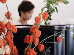 大堂-麻雀咖啡SPARROW COFFEE(十全街店)