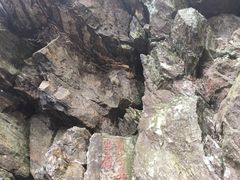 -庐山风景区花径公园