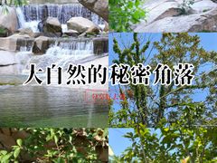 -无染寺