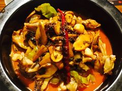 -云海肴·汽锅鸡·云南菜(天山百盛优客店)