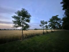 -汉长安城未央宫国家考古遗址公园