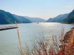 -羚羊峡古栈道森林公园