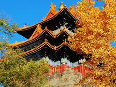 -故宫博物院(故宫)