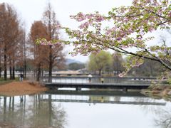 -上海辰山植物园