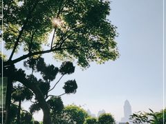 -青岛海滨风景区小鱼山