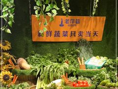 -老萍巷•莲花血鸭(楚萍店)