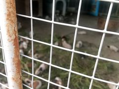 -嬉乐湾休闲旅游区
