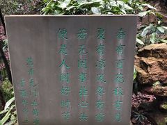 -杭州黄龙洞