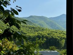 -莫干山风景区