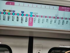 -大龙山(地铁站)