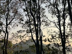 -阳台山森林公园
