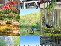 -天目湖御水温泉·度假酒店